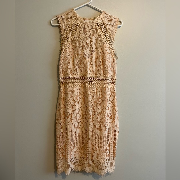 Pink Midi-Dress (Honey) - Picture 1 of 3